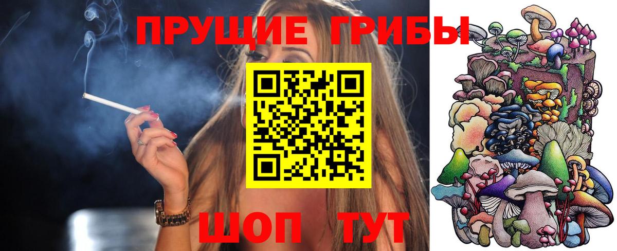 Малоярославец  Галлюциногенные грибы прущие грибы  Вход с VPN 