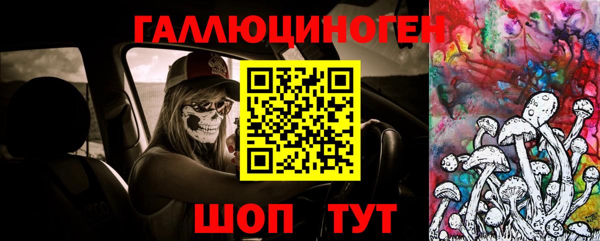 Псилоцибиновые грибы Psilocybine cubensis Малоярославец